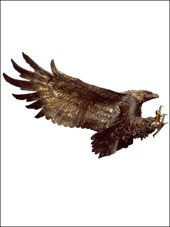 Golden Eagle
