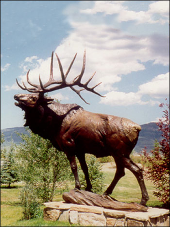 Wapiti